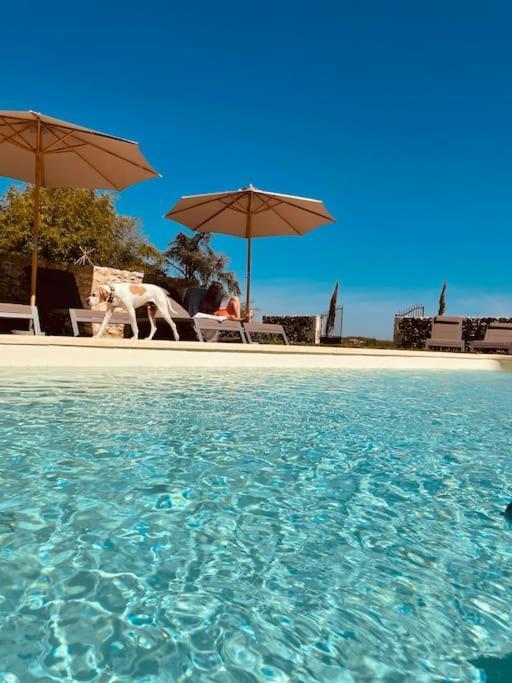 Dome Insolite Lichen Jacuzzi Et Petits-Dejeuners Inclus Gondrin Exterior photo